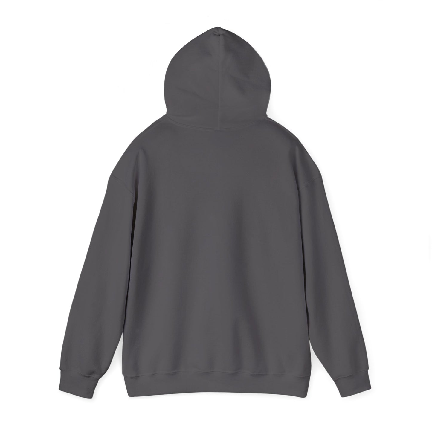 Hufschlag & Herzklopfen – Hoodie für Pferdefans