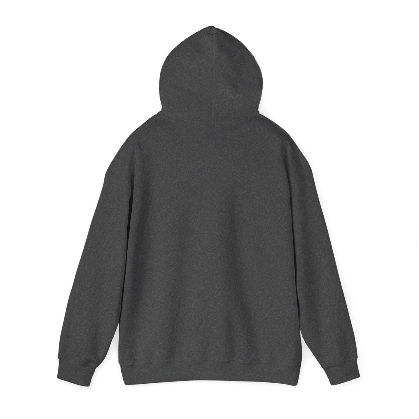 Hufschlag & Herzklopfen – Hoodie für Pferdefans