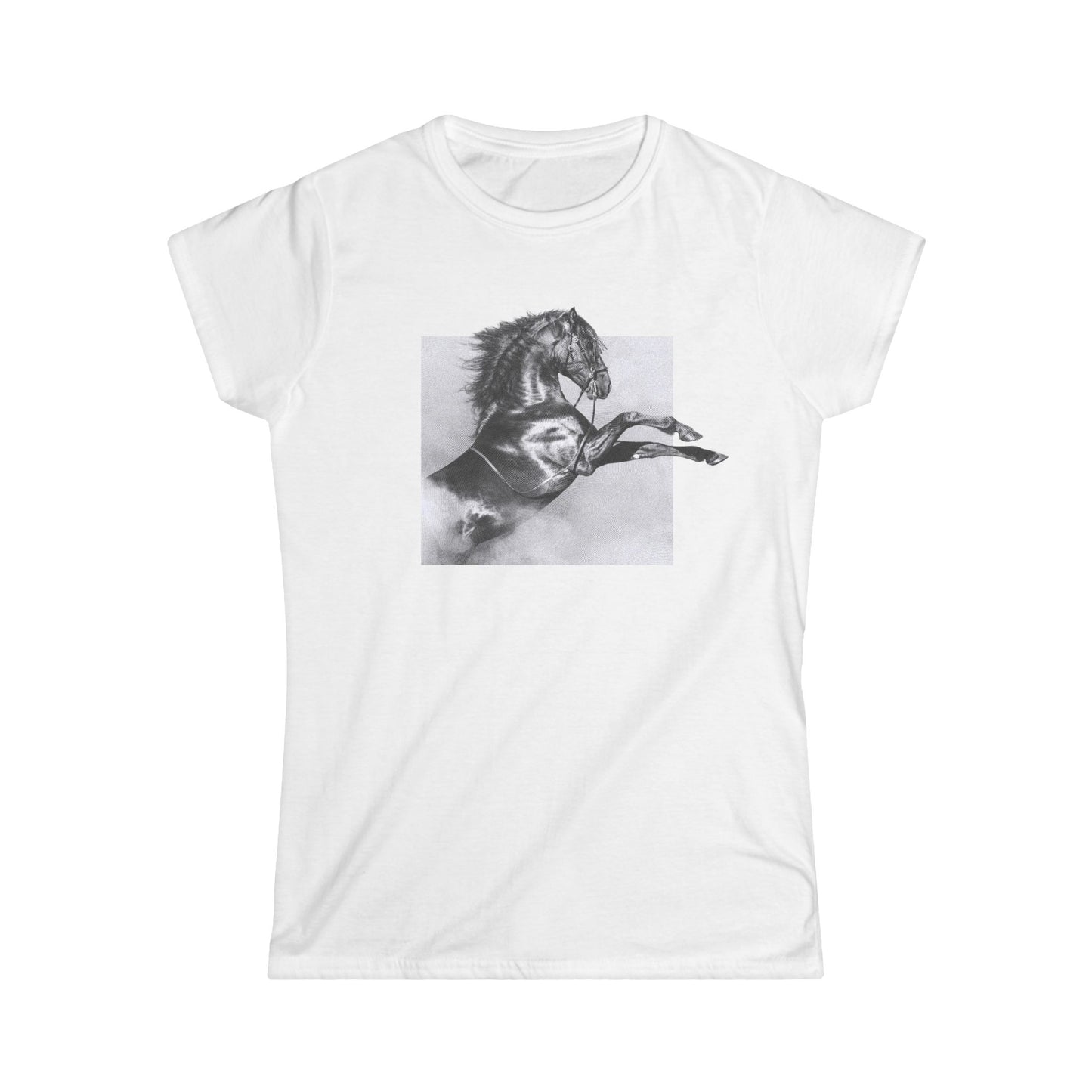 Reiterin aus Leidenschaft – Dein Pferde-Statement-Shirt