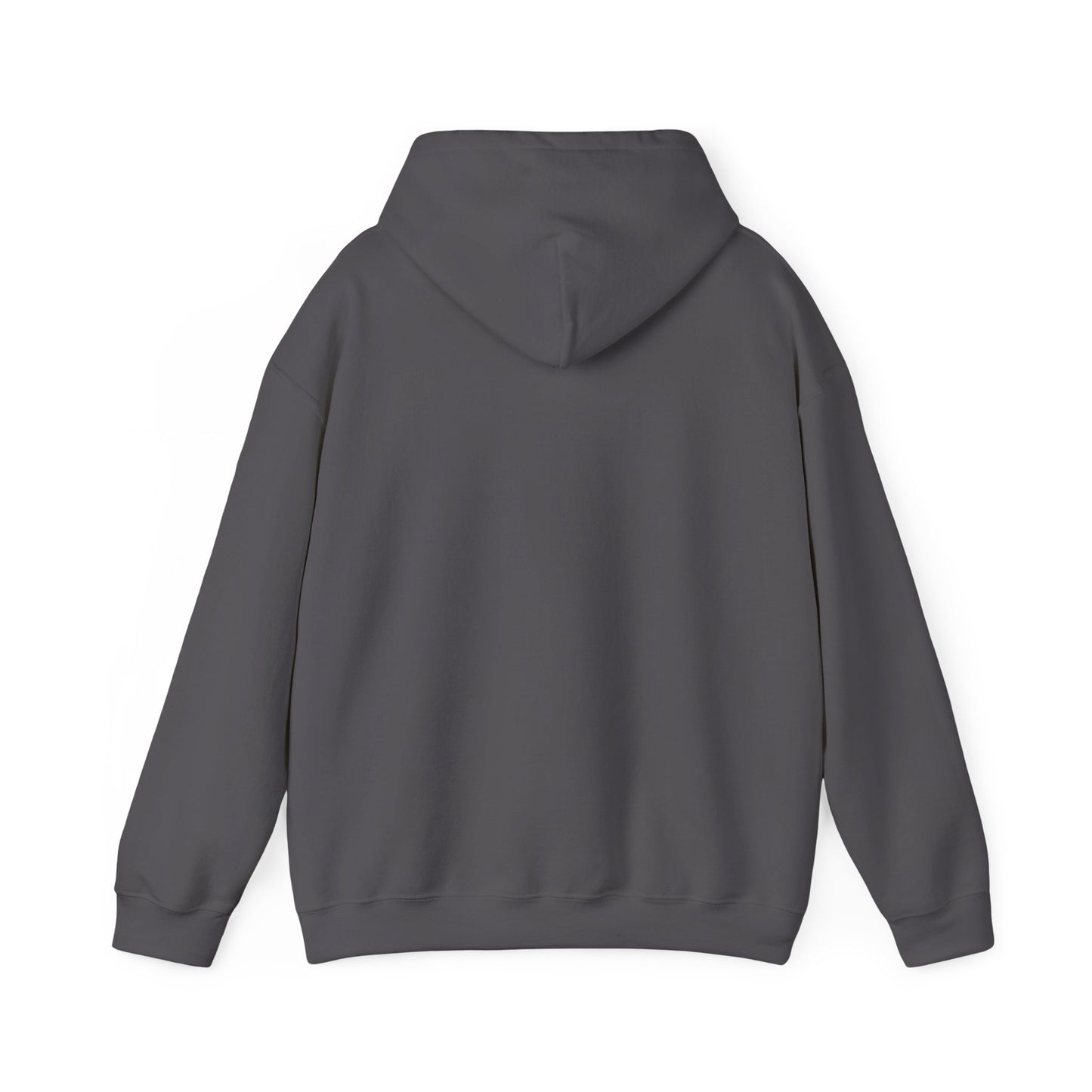 Hufschlag & Herzklopfen – Hoodie für Pferdefans